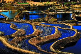 元阳哈尼梯田风光