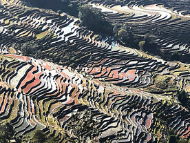 元阳哈尼梯田风光