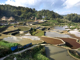 元阳哈尼梯田风光