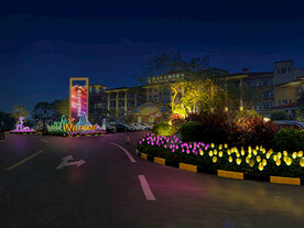 LED插地灯 春节亮化