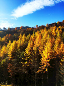 巴中光雾山风光