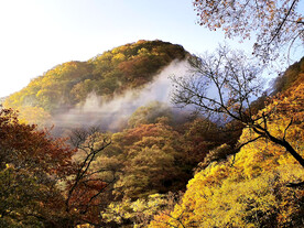 巴中光雾山风光