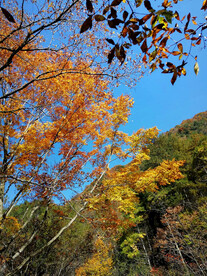 巴中光雾山风光