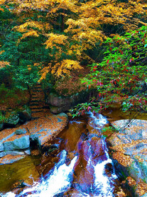 巴中光雾山风光