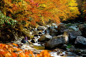 巴中光雾山风光