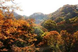 巴中光雾山风光