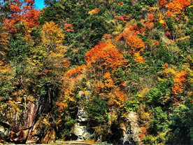 巴中光雾山风光