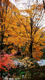 巴中光雾山风光