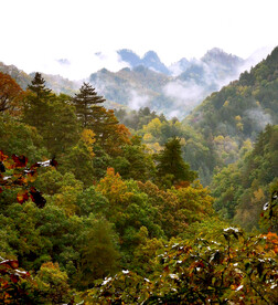 巴中光雾山风光