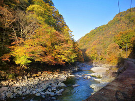 巴中光雾山风光