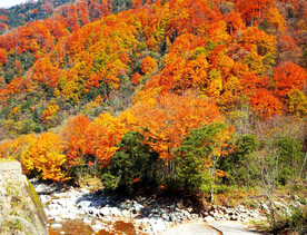 巴中光雾山风光