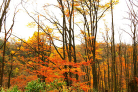 巴中光雾山风光