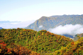 巴中光雾山风光