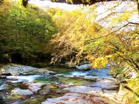 巴中光雾山风光