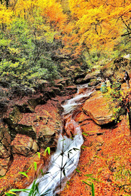 巴中光雾山风光