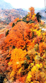 巴中光雾山风光