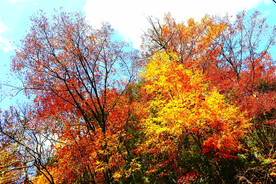 巴中光雾山风光