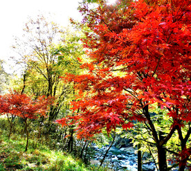 巴中光雾山风光