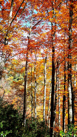 巴中光雾山风光