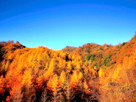 巴中光雾山风光