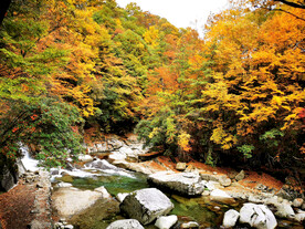 巴中光雾山风光