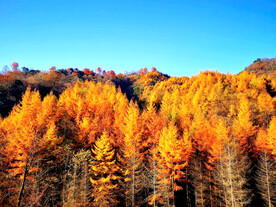 巴中光雾山风光
