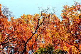 巴中光雾山风光