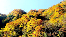 巴中光雾山风光