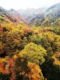 巴中光雾山风光