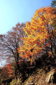 巴中光雾山风光