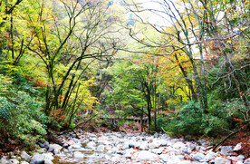 巴中光雾山风光