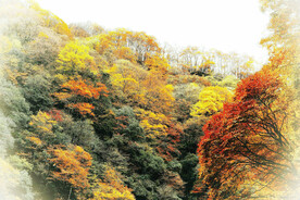 巴中光雾山风光