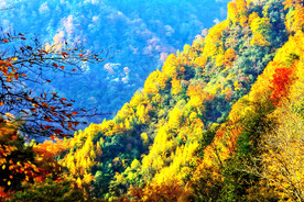 巴中光雾山风光