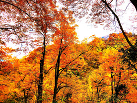 巴中光雾山风光