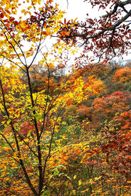 巴中光雾山风光