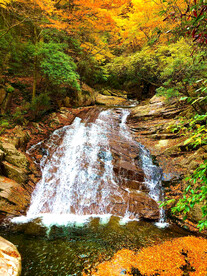 巴中光雾山风光