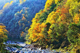 巴中光雾山风光