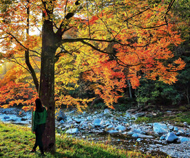 巴中光雾山风光