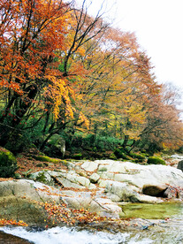 巴中光雾山风光