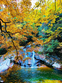 巴中光雾山风光