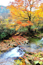 巴中光雾山风光