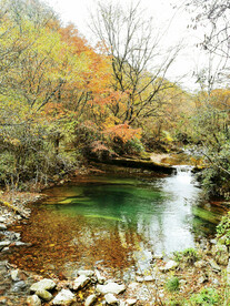 巴中光雾山风光