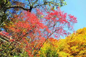 巴中光雾山风光