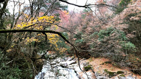 巴中光雾山风光