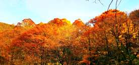 巴中光雾山风光