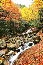 巴中光雾山风光