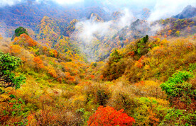 巴中光雾山风光