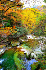 巴中光雾山风光