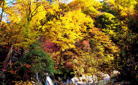 巴中光雾山风光