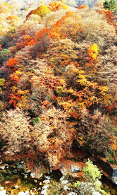 巴中光雾山风光